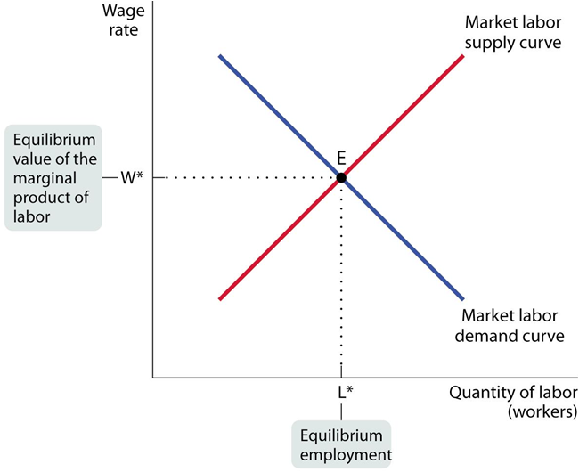 114_Equilibrium in the Labor Market.png